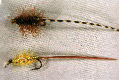 K15 - Ken's Red & Gold - Ken's LongTailed wooly Booger - $5 each